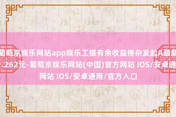 葡萄京娱乐网站app娱乐工银有余收益搀杂发起A最新单元净值为1.262元-葡萄京娱乐网站(中国)官方网站 IOS/安卓通用/官方入口
