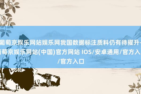 葡萄京娱乐网站娱乐网我国数据标注质料仍有待擢升-葡萄京娱乐网站(中国)官方网站 IOS/安卓通用/官方入口